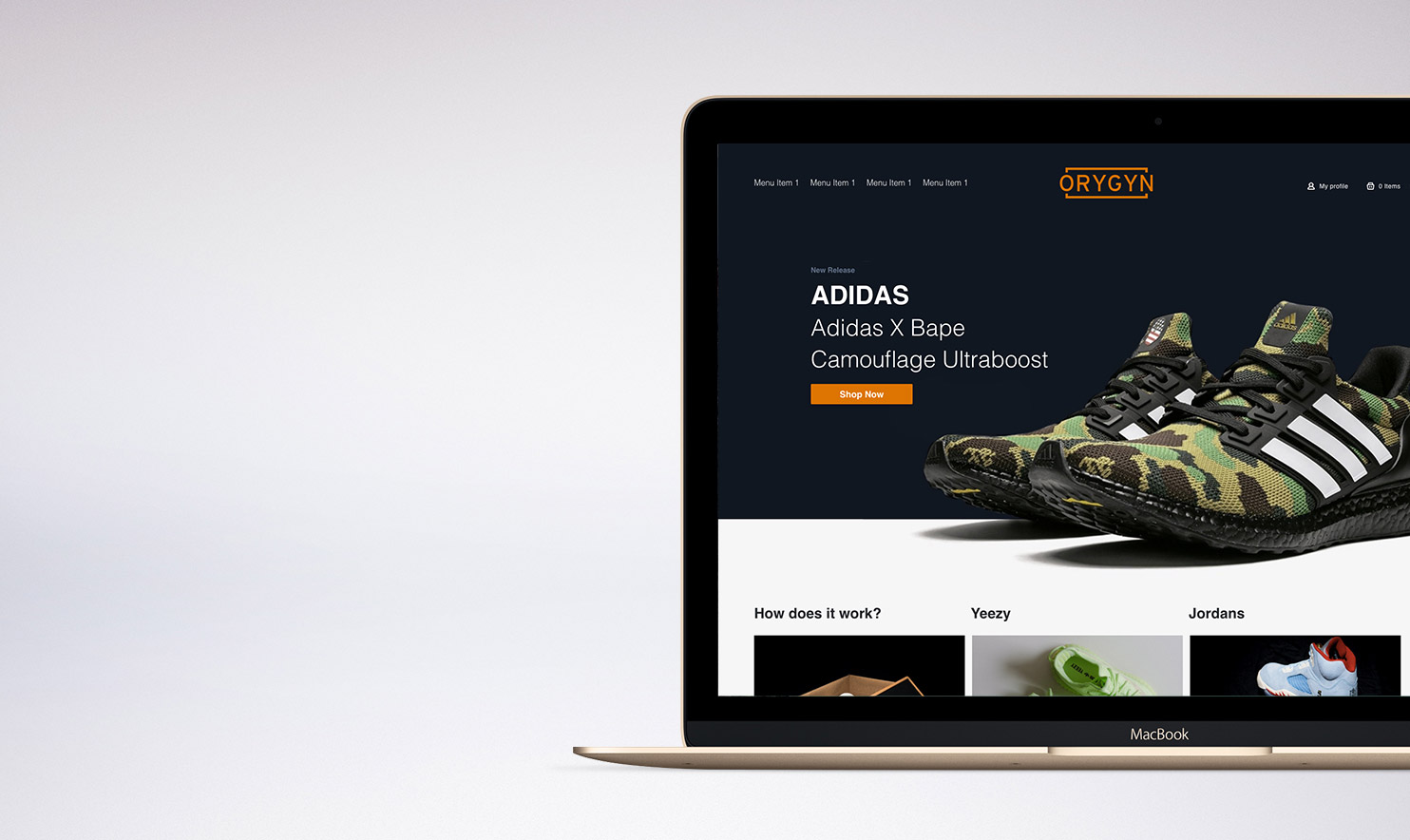 Laptop-singles_orygyn1-1